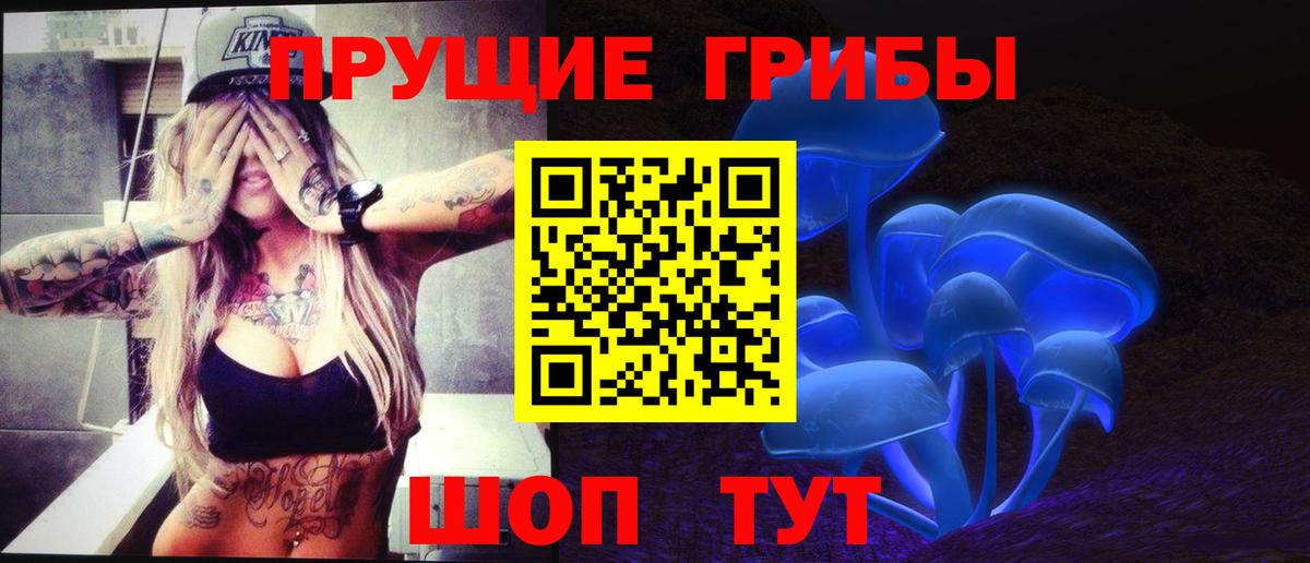 Псилоцибиновые грибы GOLDEN TEACHER  как найти   Джанкой  Вход с VPN 
