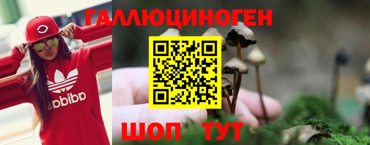 Галлюциногенные грибы Psilocybine cubensis Джанкой
